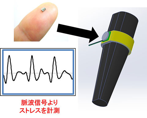 動物のストレスを可視化するウエアラブルセンサ